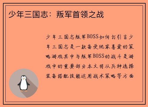 少年三国志：叛军首领之战